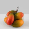 Alphonso Mangoes Assortment, Set of 6