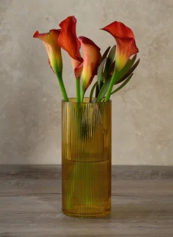 Amber Pleated Glass Cylinder and Oval Vase