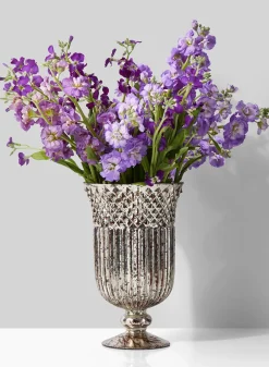 Antique Silver Mercury Glass Pedestal and Compote Vase