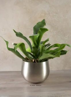 Araami Matte Silver Aluminium Bowl