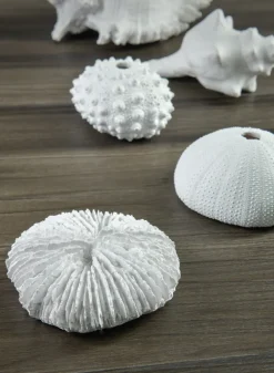Artificial White Sea Urchins, Set of 3