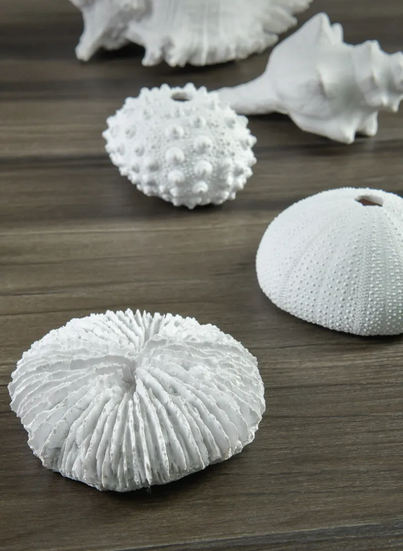 Artificial White Sea Urchins, Set of 3
