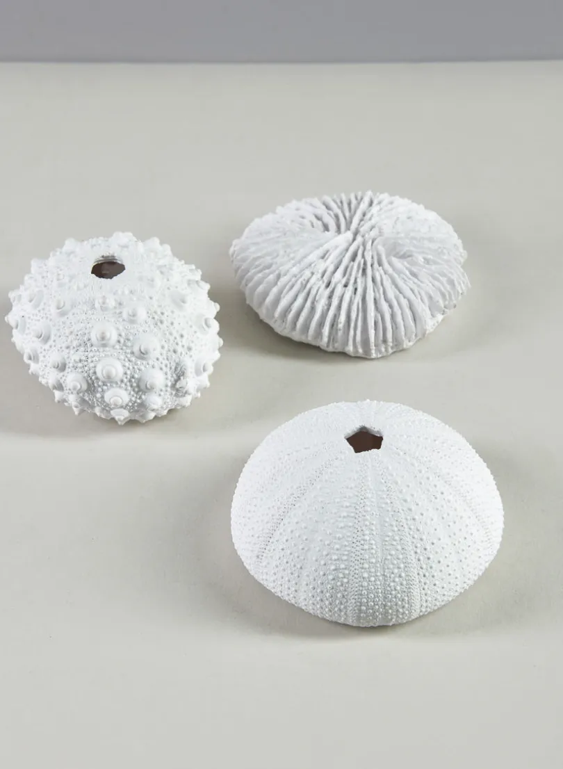 Artificial White Sea Urchins, Set of 3