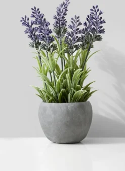Atelier Cement Fishbowl Vase
