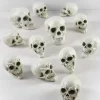 Bag of Mini Skulls