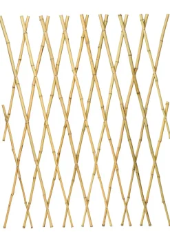 Bamboo Expanding Trellises