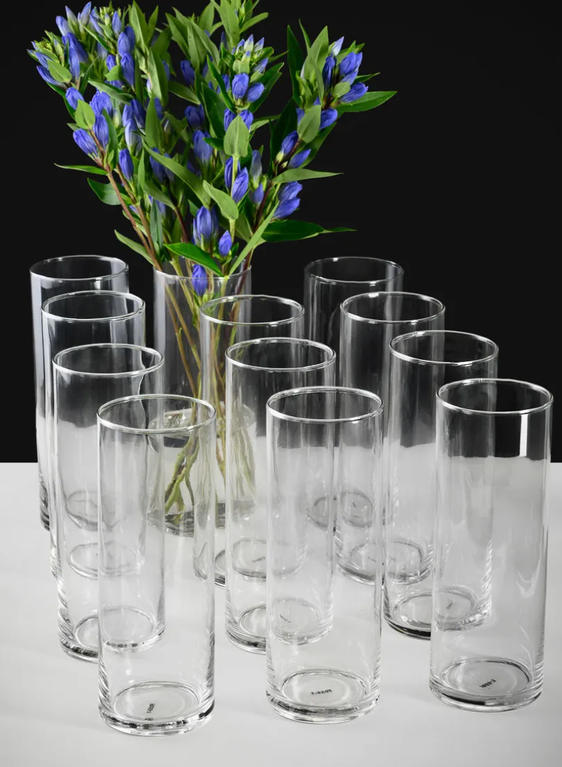 Best Value Glass Cylinder, Set of 12