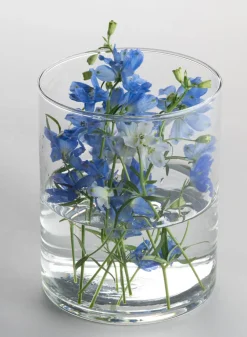 Best Value Glass Cylinder Vase, Set of 6