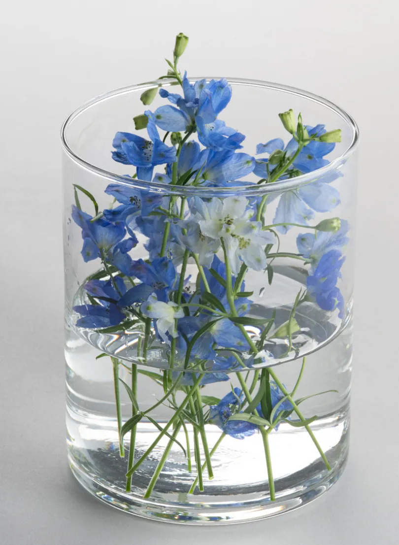 Best Value Glass Cylinder Vase, Set of 6