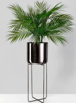 Black Nickel Soho Planters With Stand