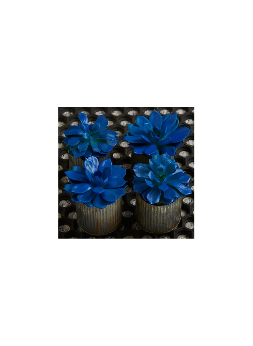 Blue Marlin Spray Paint #686