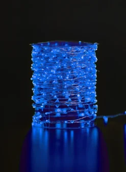 Blue Naked Wire L.E.D. Lights String