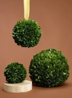 Boxwood Balls