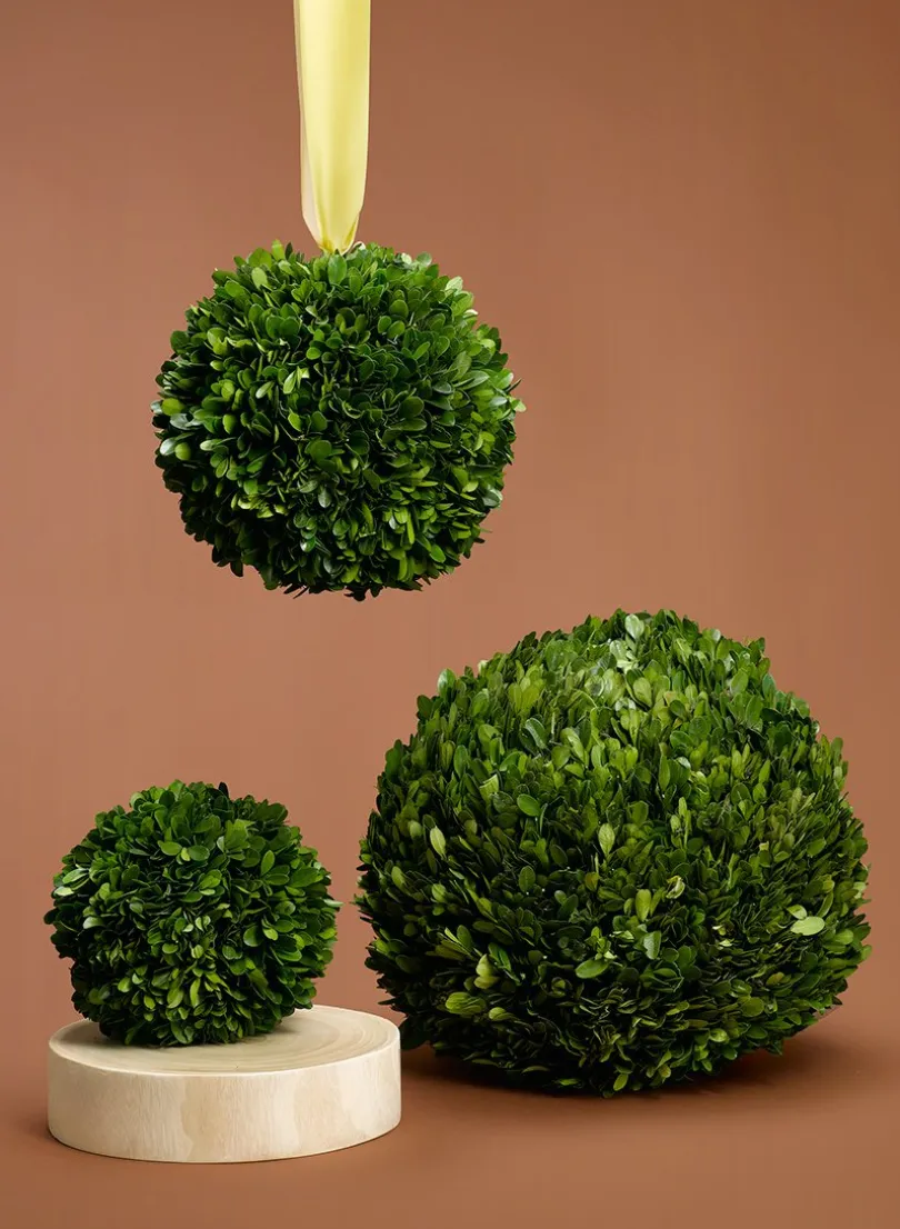 Boxwood Balls