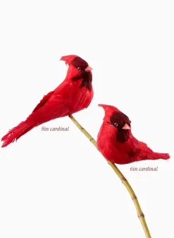Cardinals, Case of 6