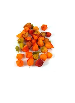 Chinese Lanterns, 0.15 lbs.