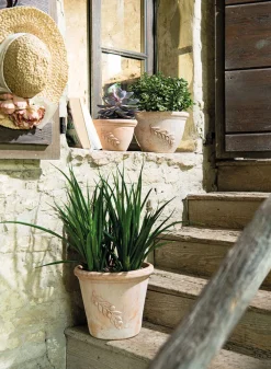 Ciotola Olive Bell Pot