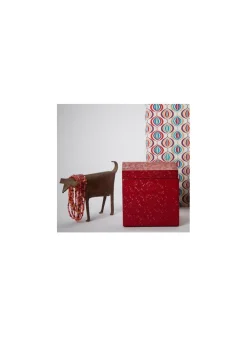 Cranberry Spray Paint #713