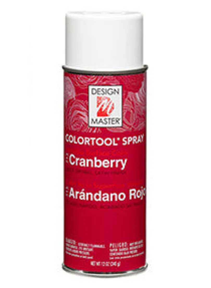 Cranberry Spray Paint #713