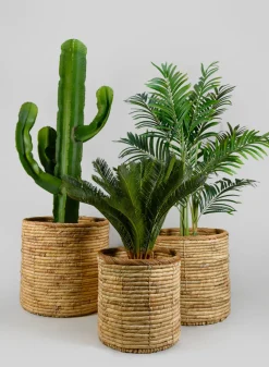 Da Nang Water Hyacinth Basket Pot