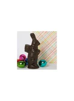 Dark Chocolate Spray Paint #719