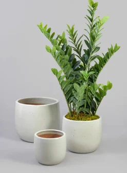 Deck Clay & Ceramic Planters, Yucatan White