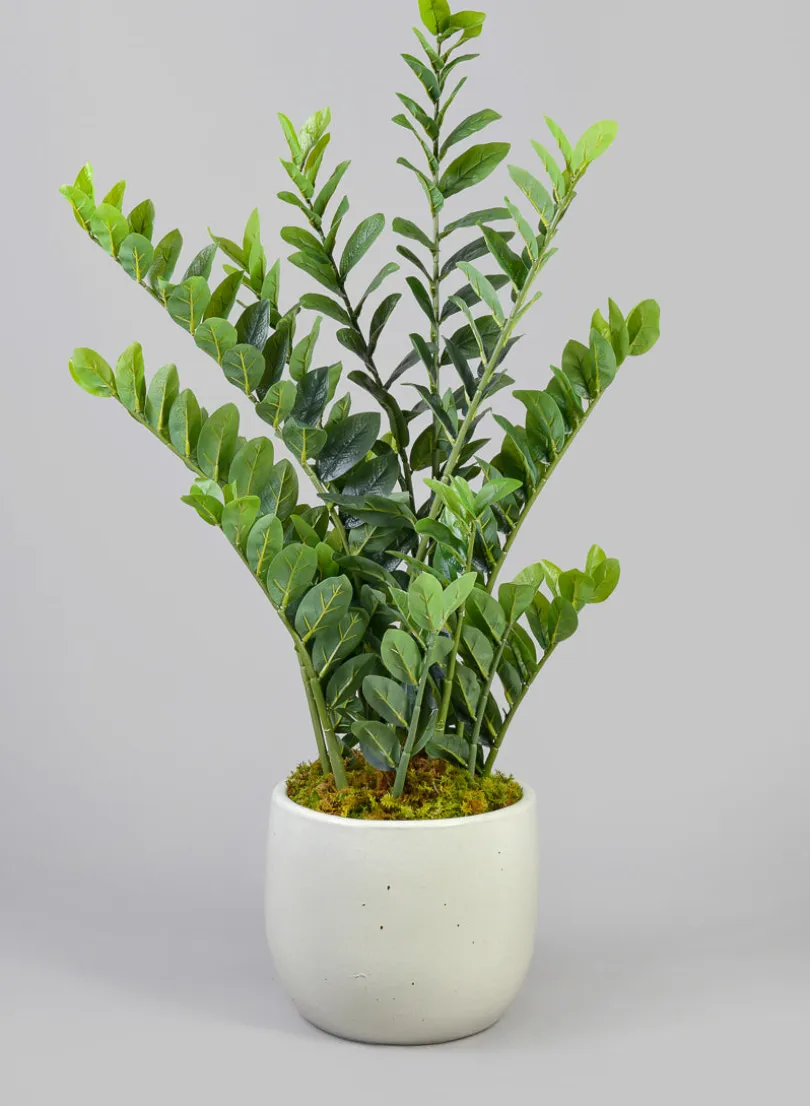 Deck Clay & Ceramic Planters, Yucatan White
