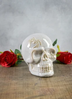 Dexter's White Porcelain Skull