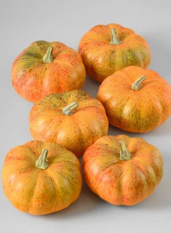 Fall Harvest Mini Pumpkins, Set of 6