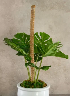 Flexible Coco Moss Plant Training Pole