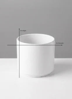 Florist Choice Gloss White Ceramic Cylinders