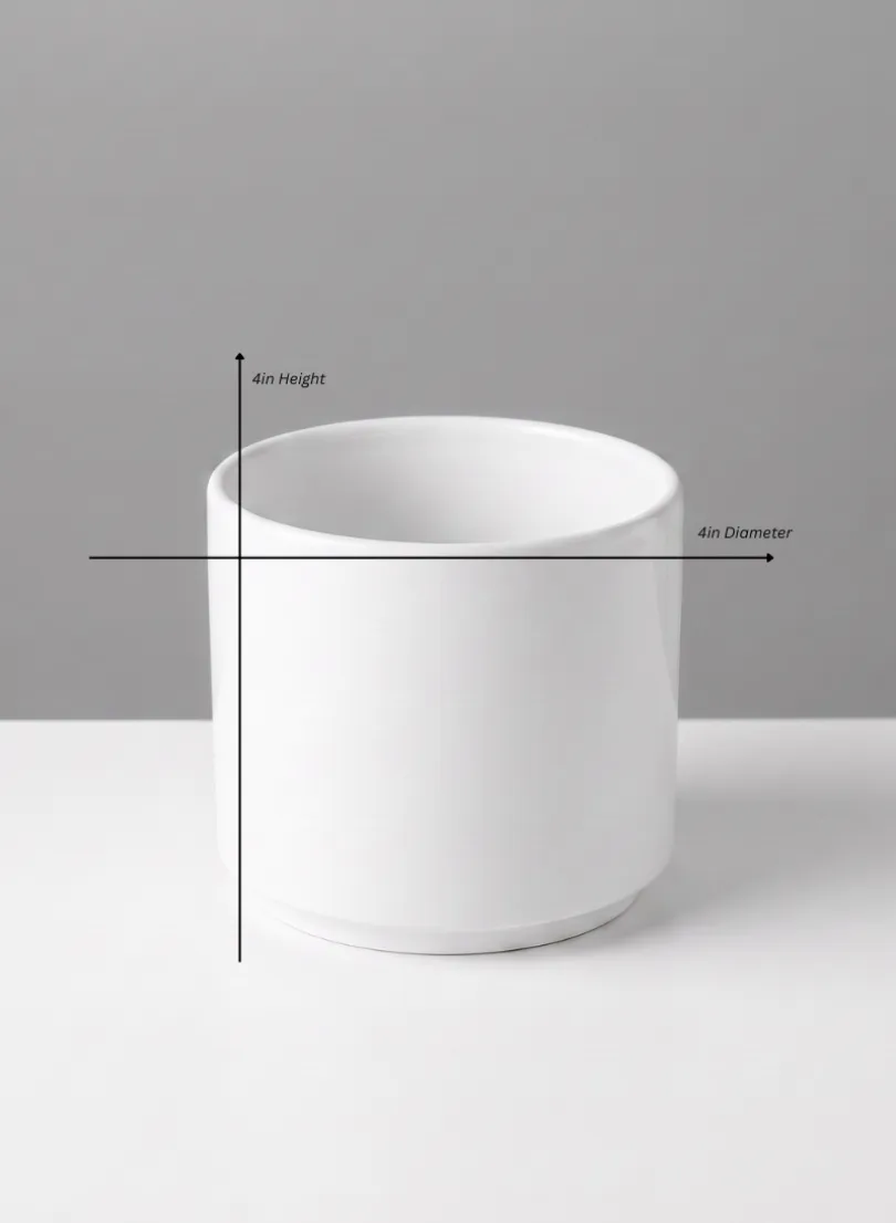 Florist Choice Gloss White Ceramic Cylinders