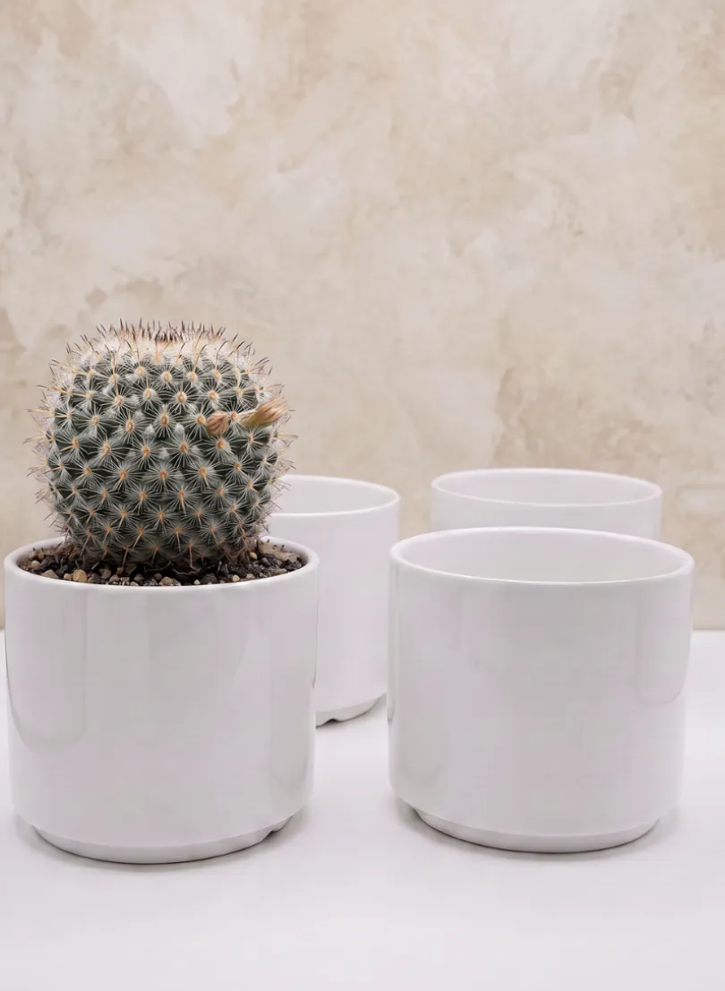 Florist Choice Gloss White Ceramic Cylinders