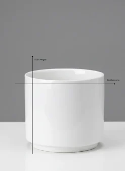 Florist Choice Gloss White Ceramic Cylinders