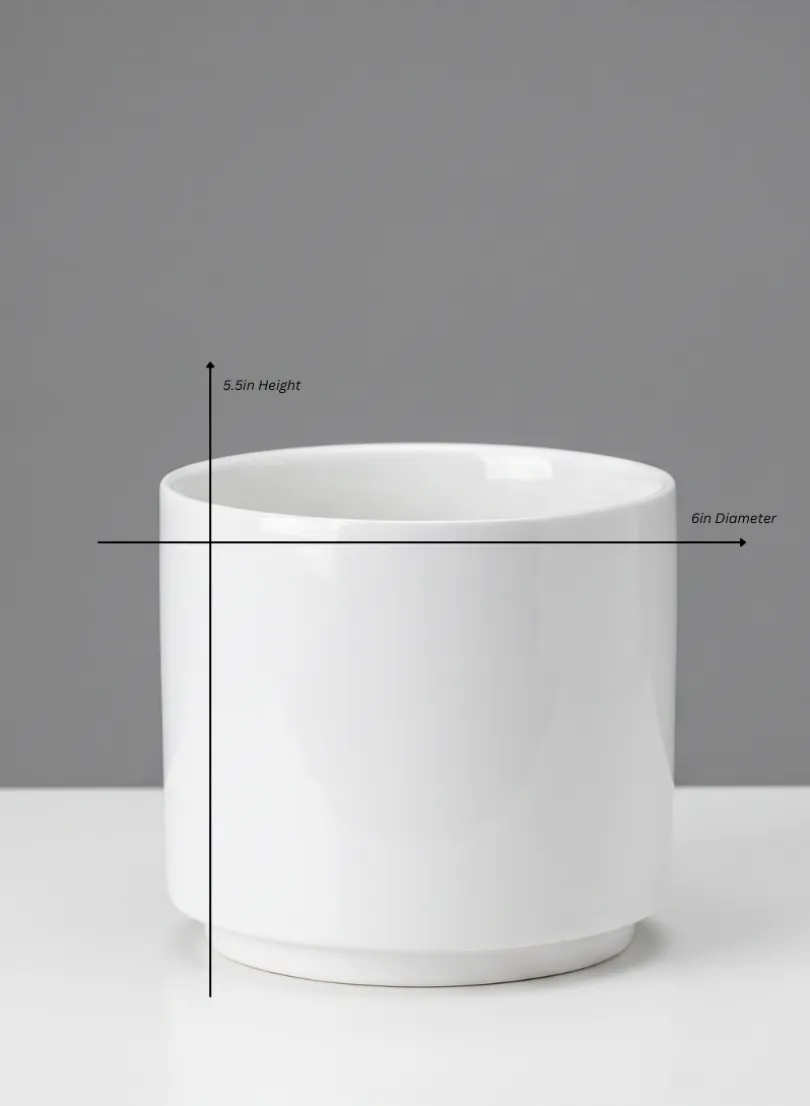 Florist Choice Gloss White Ceramic Cylinders