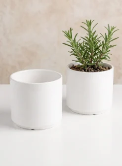 Florist Choice Gloss White Ceramic Cylinders
