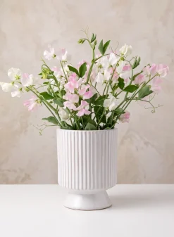 Florist Choice White Ceramic Cachepot with Base