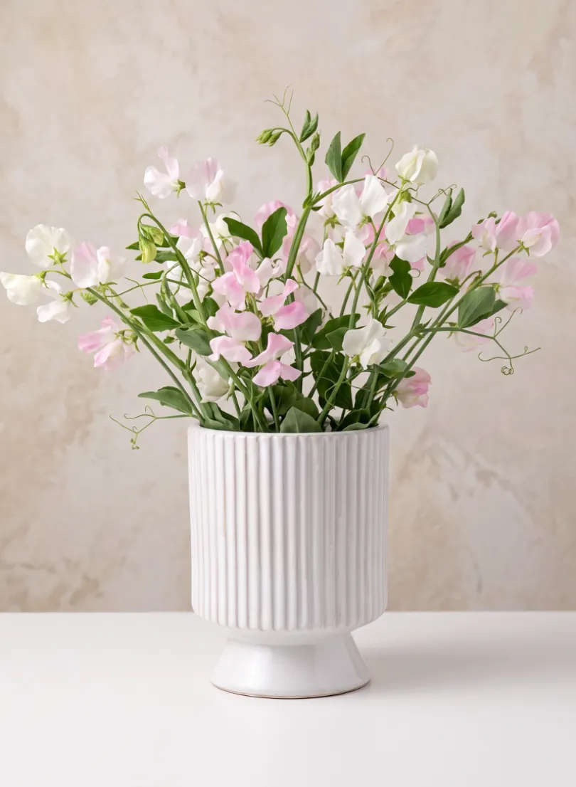 Florist Choice White Ceramic Cachepot with Base