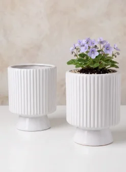 Florist Choice White Ceramic Cachepot with Base