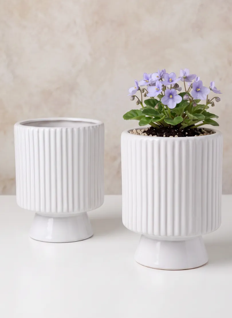 Florist Choice White Ceramic Cachepot with Base