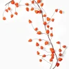 5ft Long Orange Chinese Lantern Garland, Case of 6