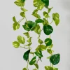 6ft Long Pothos Garland, Bundle of 12