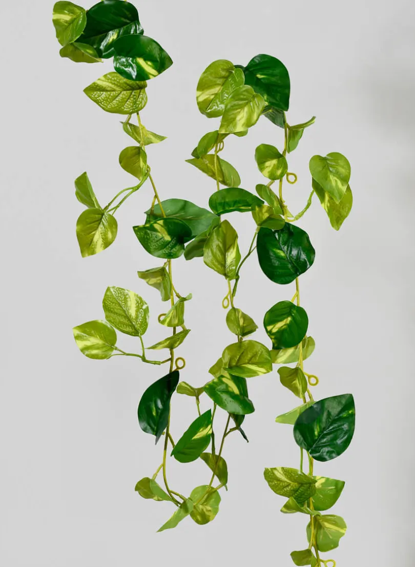 6ft Long Pothos Garland, Bundle of 12