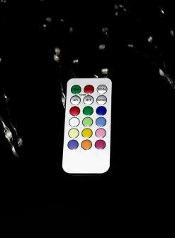 8ft Long 50 String Light With Remote, Set of 2