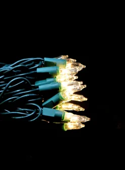 27ft Long 100 Super Bright Clear Light Set on Green Wire