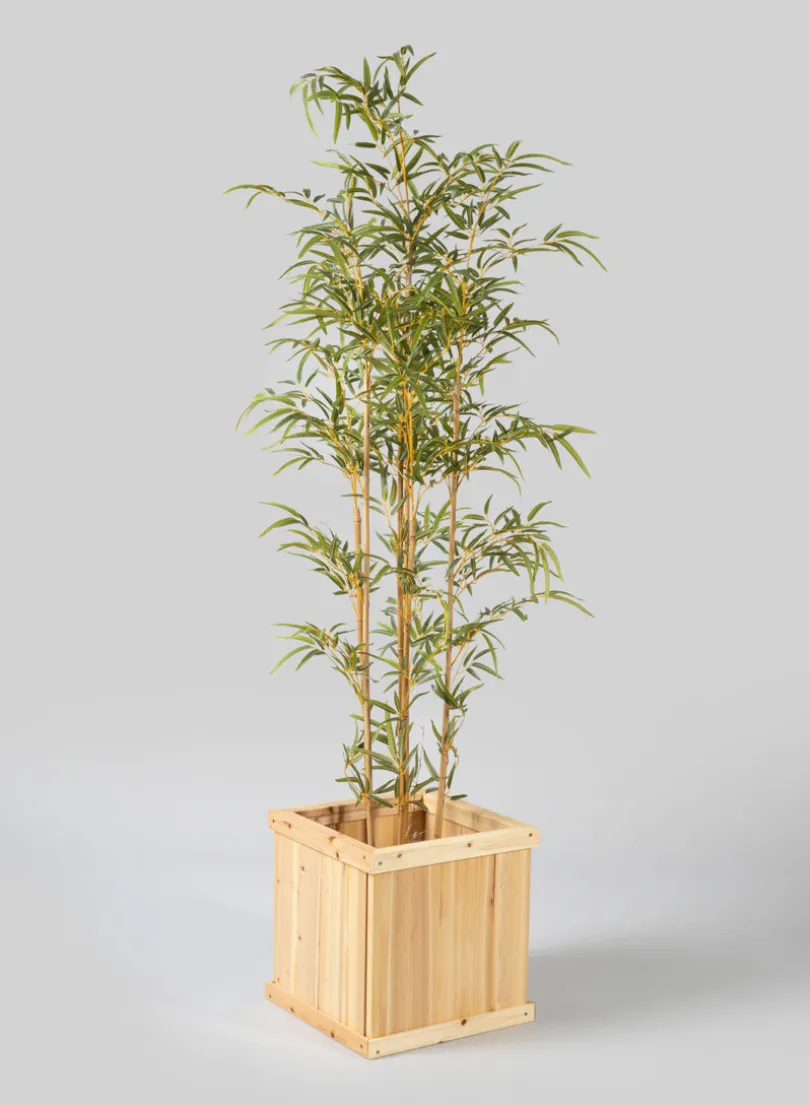 6ft Tall Potted Bamboo Tree