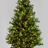 5ft Tall Prelit PE Tree With 450 LED Lights