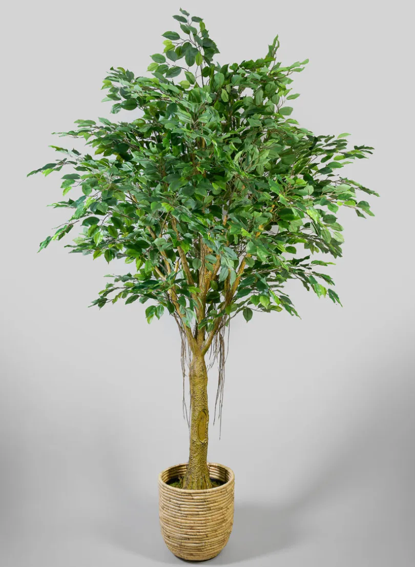 7.5ft Tall Real Touch Giant Ficus Tree