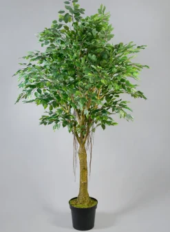 7.5ft Tall Real Touch Giant Ficus Tree