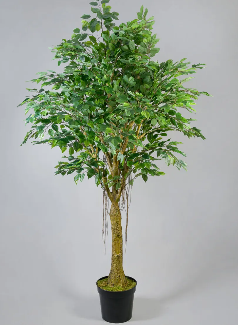 7.5ft Tall Real Touch Giant Ficus Tree